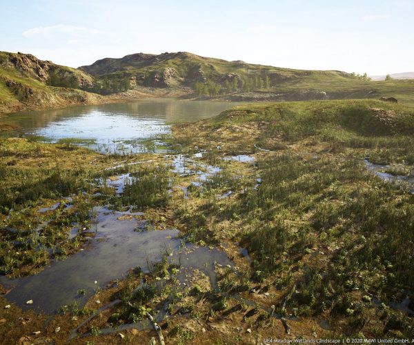 MW Meadow Wetlands Landscape