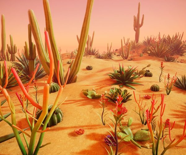 Stylized Desert Plants