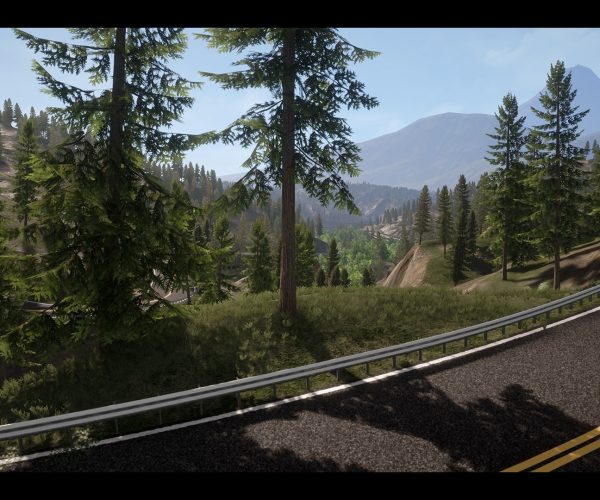 Realistic Forest Pack