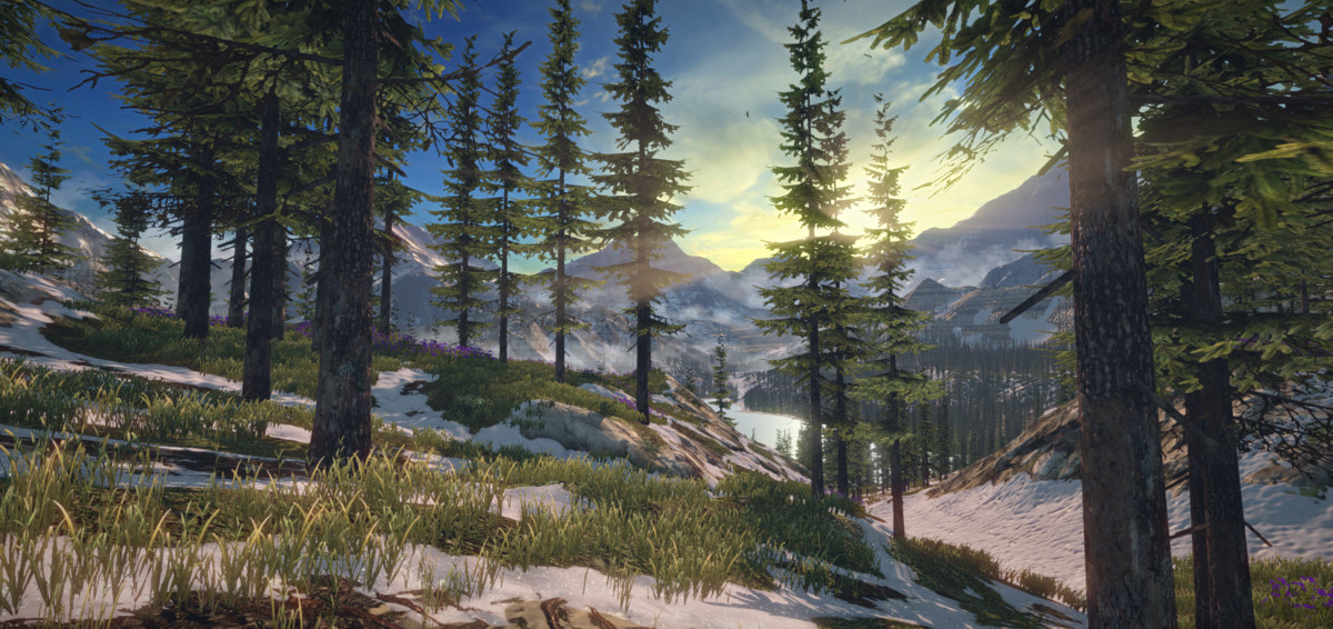 Mountain Lake Environment