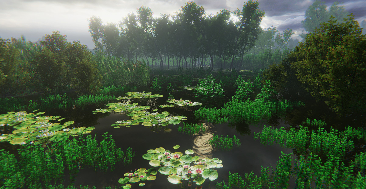 Nature Package - Swamp