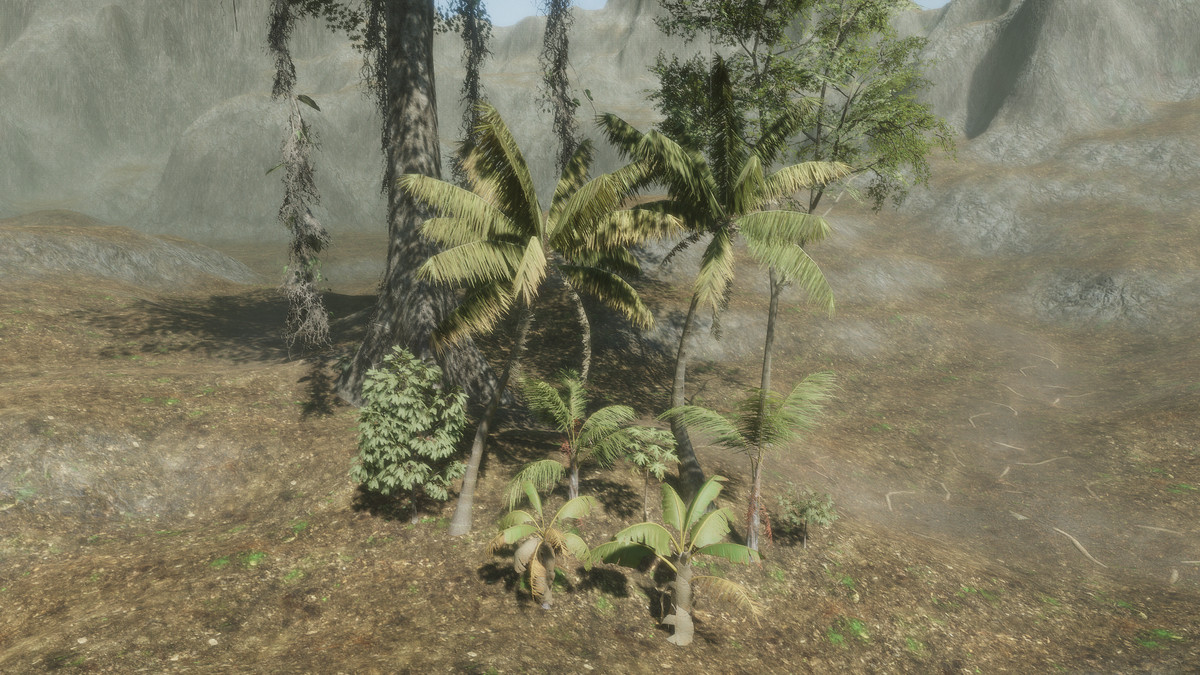 Tropical Forest Pack