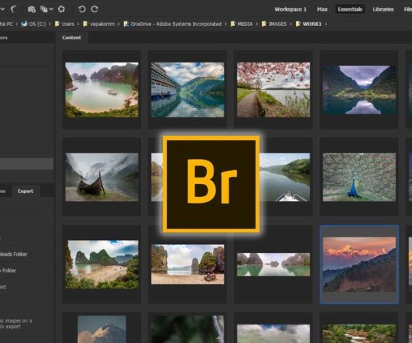 Adobe Bridge 2022.v12.0.0.234.Win.x64