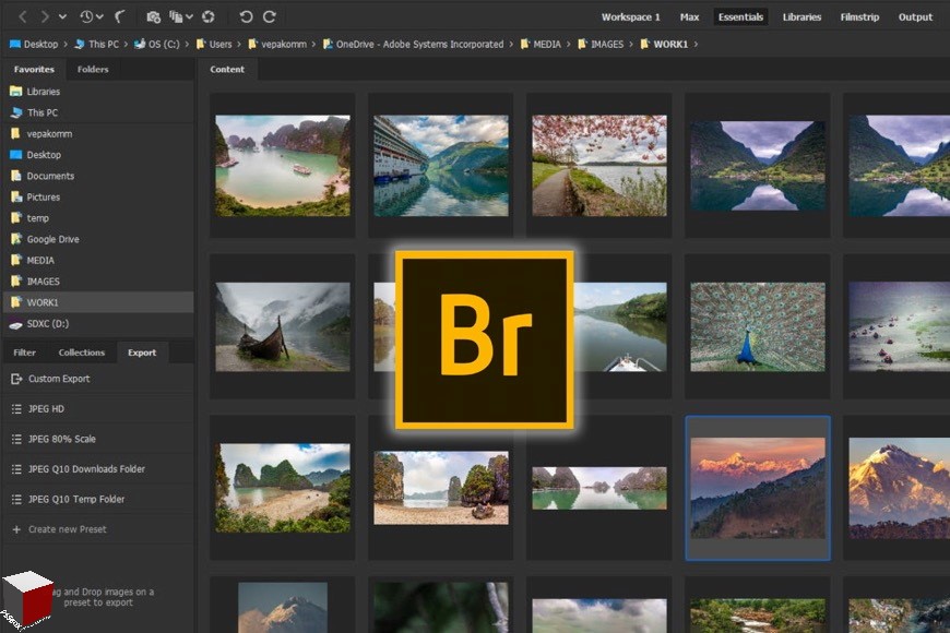 Adobe Bridge 2022.v12.0.0.234.Win.x64