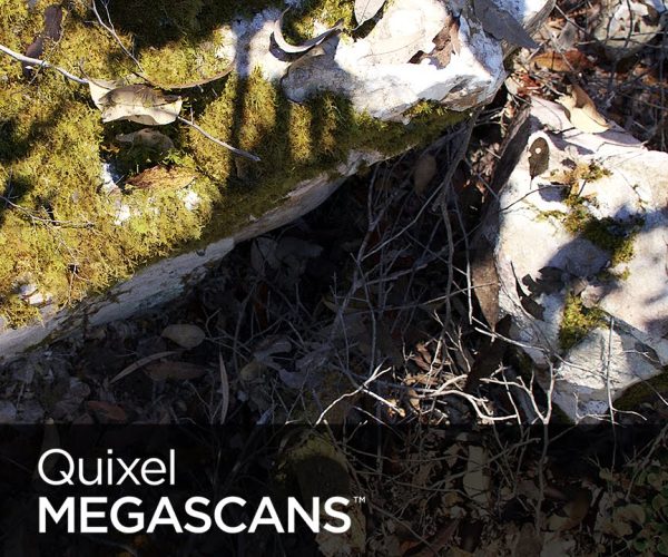 Quixel Megascans Studio 0.922