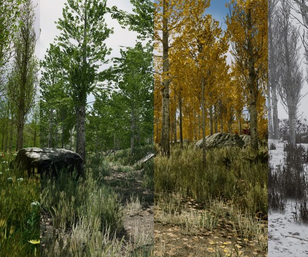 Scanned Poplar and Aspen Forest with Seasons